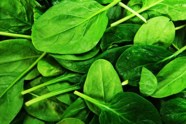 ıspanak yaprakları