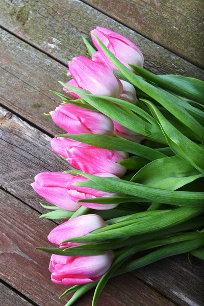 Pink tulips — Stock Photo, Image