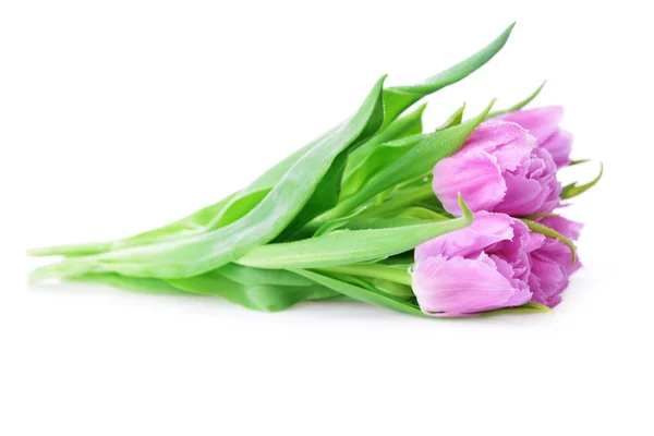 Pink tulips — Stock Photo, Image