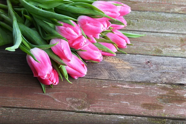 Tulipanes rosados —  Fotos de Stock