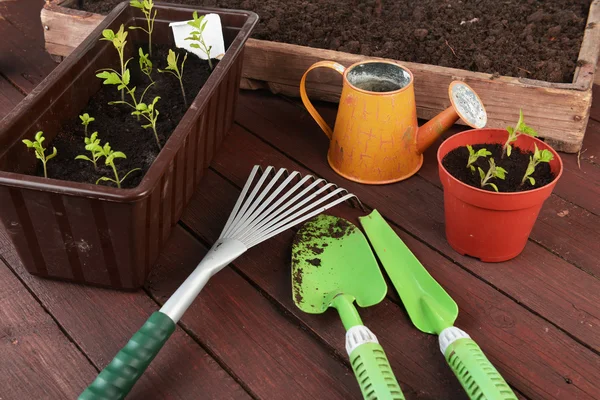 Gardening tools — Stock Photo, Image