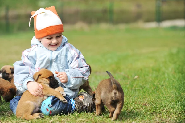 Little boy with  puppies — Stock Photo, Image