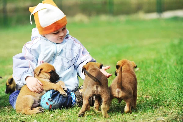 Kleine jongen met puppies — Stockfoto