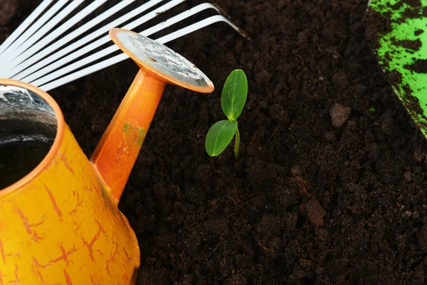 Herramientas de jardinería — Foto de Stock