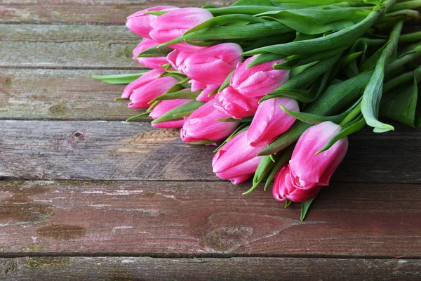 Růžové tulipány — Stock fotografie