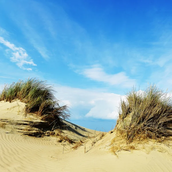 Witte wolken — Stockfoto