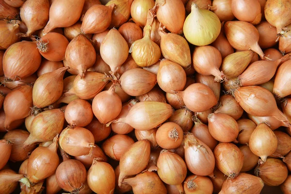 Lâmpadas de cebola — Fotografia de Stock