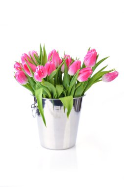  Pembe Laleler