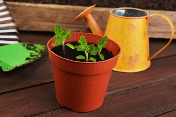 Strumenti di giardinaggio — Foto Stock