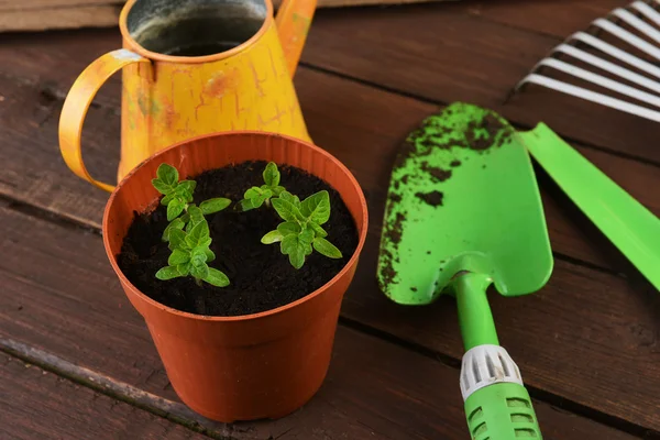 Strumenti di giardinaggio — Foto Stock