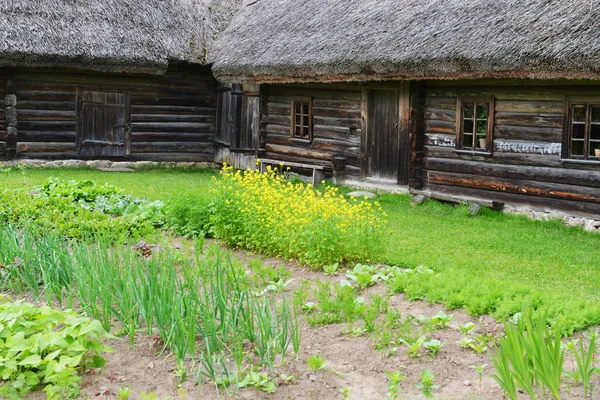 Lits de légumes — Photo