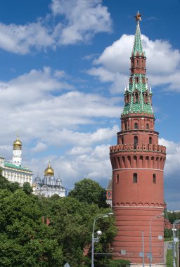 Moskova kremlin Kulesi ve kiliseler, yaz günü dikey görünüm