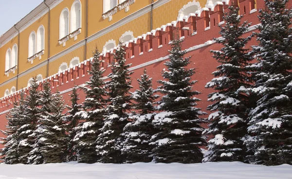 Del av rött tegel Kreml vägg med granar — Stockfoto