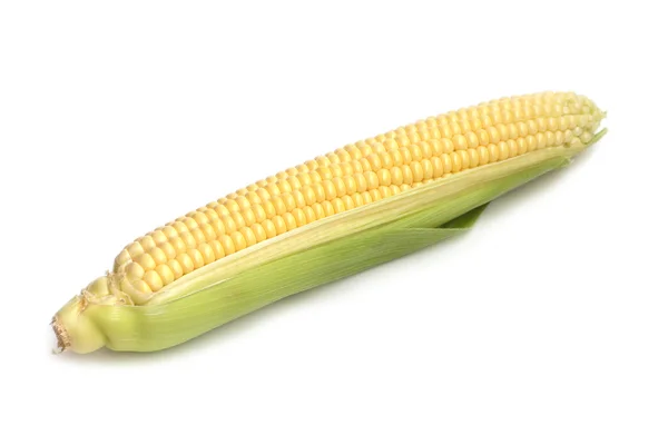 Mazorca de maíz aislado ob blanco —  Fotos de Stock