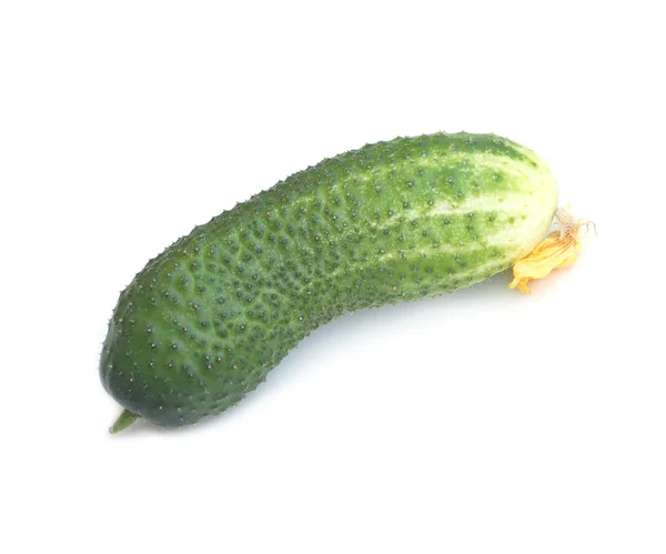 Cucumber isolated on white Stock Photo