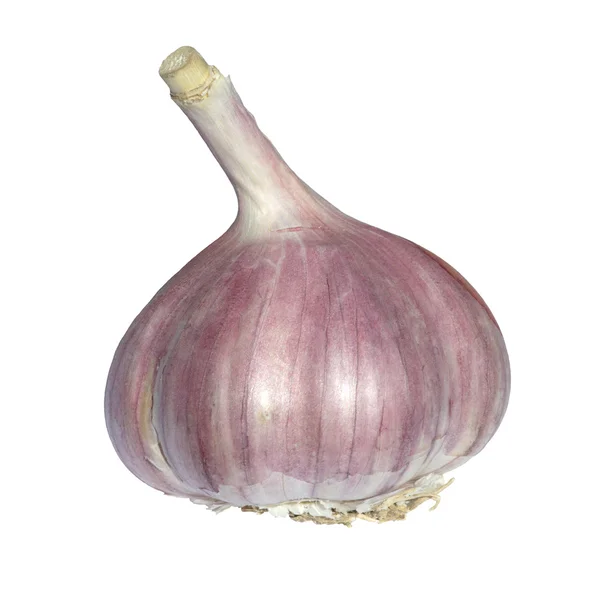 Garlic isolated on white — Stock Photo, Image