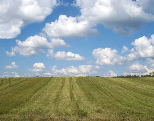 Сільський літній пейзаж з культивованим полем і хмарним небом — стокове фото