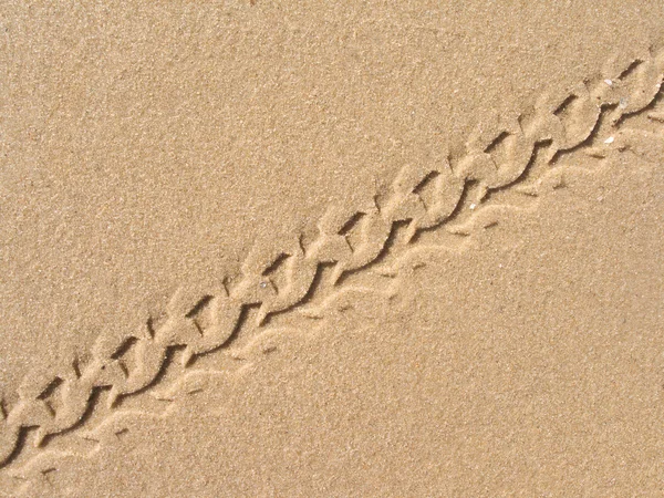 Стежка велосипедна шина хрест коричневий пісок — стокове фото