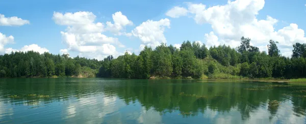 Summer nature landscape panorama with trees on forest lake