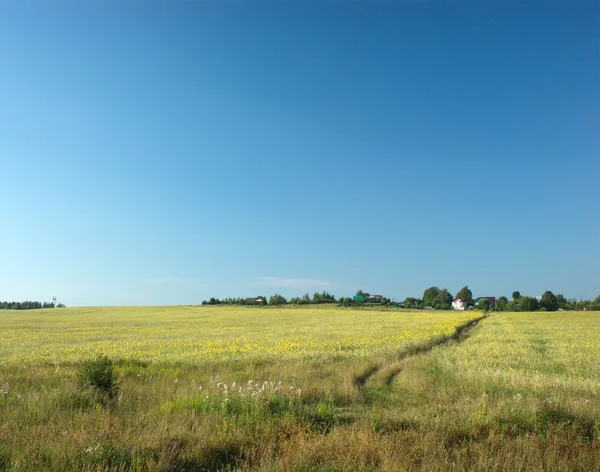 Rural summer landscape with path and houses on skyline — Stock Photo, Image