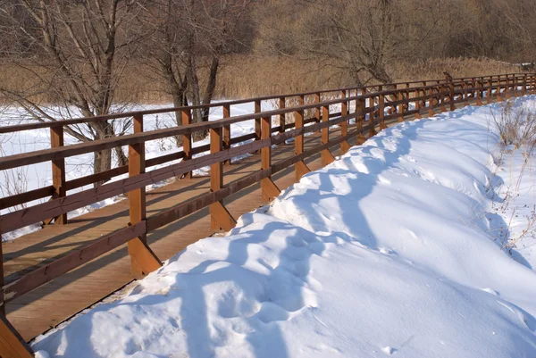 Paesaggio invernale con lungo ponte pedonale in legno — Foto Stock