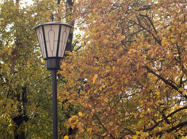 Lanterna stradale in stile retrò nella foresta autunnale — Foto Stock