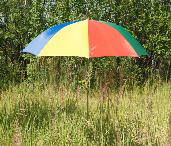 Color sun umbrella on forest country lawn in summer — Stock Photo, Image