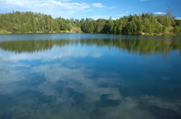 Paisaje con lago de bosque —  Fotos de Stock