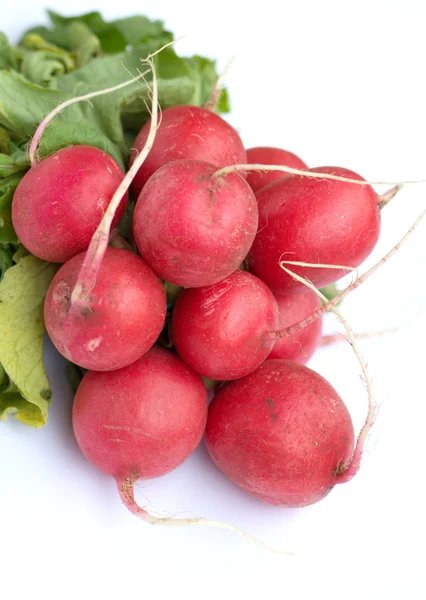 Bunch of radish isolated on white closeup — Stock Photo, Image