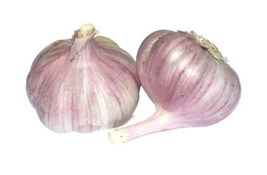 Sarmısakları üzerinde beyaz izole