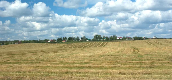 Venkovské letní krajina s posečenou pole a vesnice v daleko — Stock fotografie