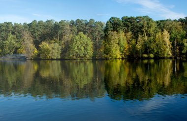 sonra nehir orman ile peyzaj