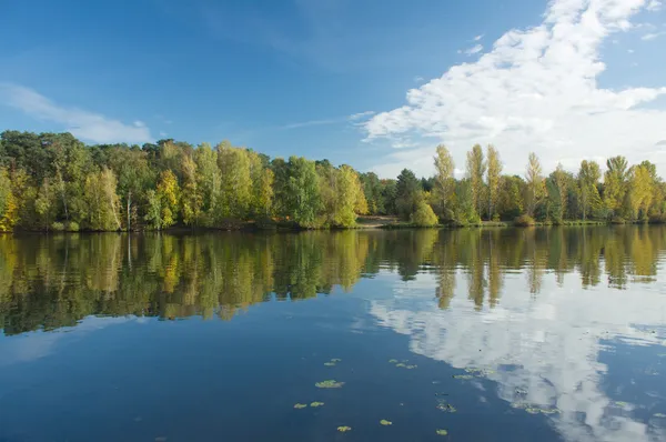 Paisaje con bosque tras río —  Fotos de Stock