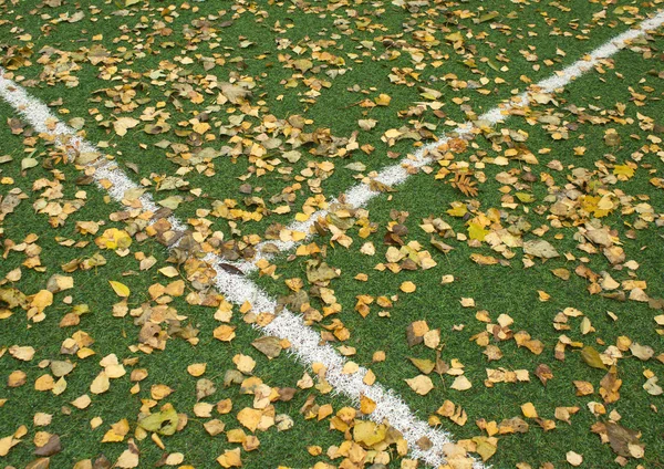 Campo de deporte verde en otoño —  Fotos de Stock