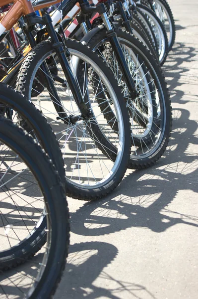 Много велосипедных колес крупным планом — стоковое фото