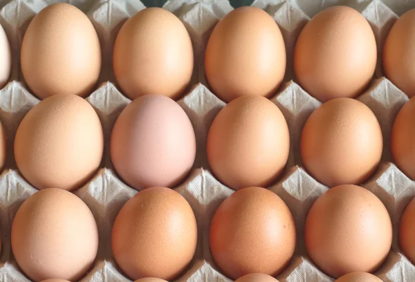 Veel eieren in pakket close-up — Stockfoto