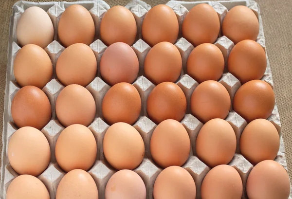 Muitos ovos sortidos em células de embalagem — Fotografia de Stock
