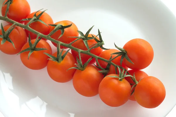 Cherry tomatoes on plate isolated — Stock Photo, Image