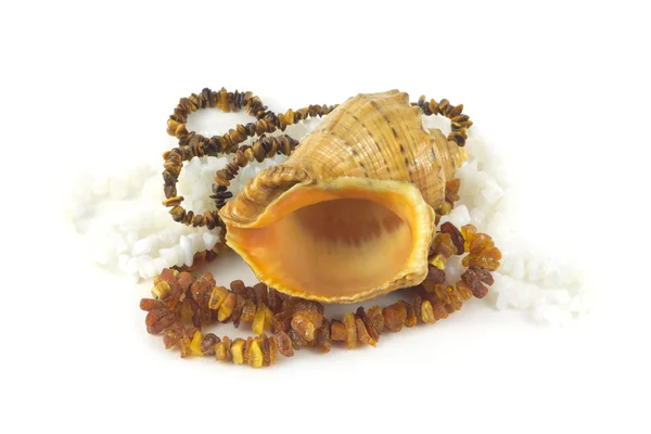 Seashell and Fashion jewelry — Stock Photo, Image