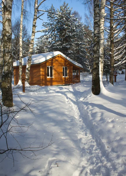 Maison en bois dans la forêt d'hiver — Photo