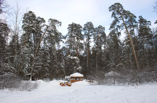 Rekreation plats winter woods — Stockfoto