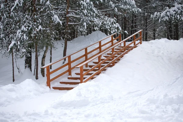 Dřevěné schodiště v zimním lese — Stock fotografie