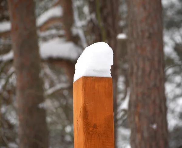 雪のキャップのクローズ アップと木の棒 — ストック写真