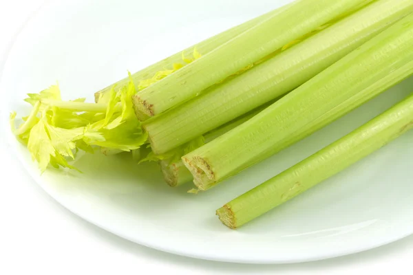 Celery stem on plate isolated Stock Image