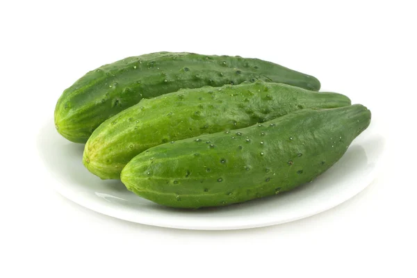 Cucumbers on plate isolated — Stock Photo, Image