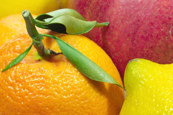 Juicy citrus fruits closeup — Stock Photo, Image