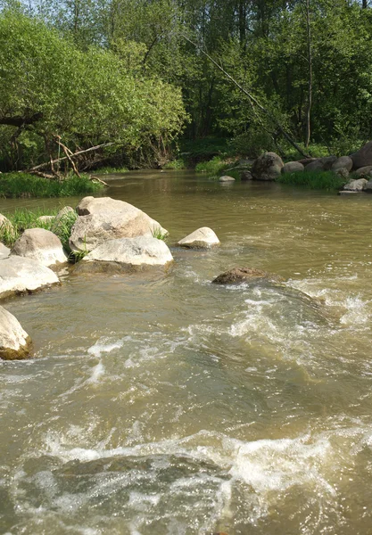 Clear water in fast small river quickly runs between stones — Stock Photo, Image