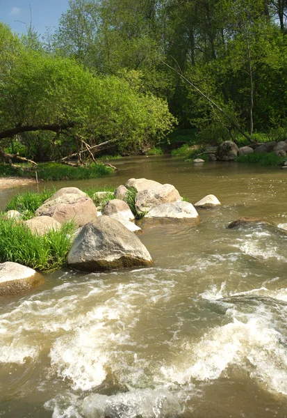 Clear water in fast small river quickly runs between stones — Stock Photo, Image