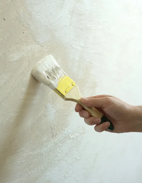 Woman's hand with brush painted wall — Stock Photo, Image