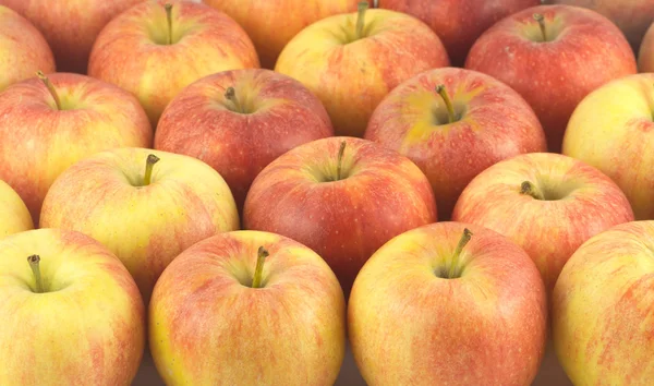 Many ripe tasty apples close up — Stock Photo, Image